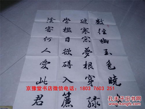 張坤圣書(shū)法 中國(guó)書(shū)法家協(xié)會(huì)會(huì)員精品真跡書(shū)法作品一大幅 69 137