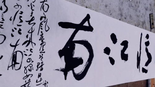 書法 草書,白居易詩一首